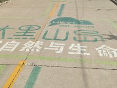 -长岛大黑山岛