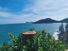 -广东惠东海龟国家级自然保护区