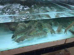 -班赞海鲜市场