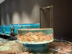 -许家菜.艺创菜(仁和新城店)