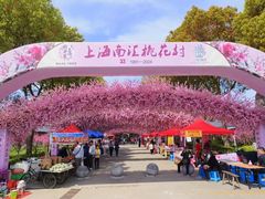 -南汇桃花村