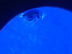 -多彩贵州城极地海洋世界