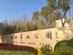 -羊山湖公园