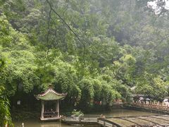 -黔灵山公园