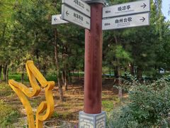 -大兴滨河森林公园