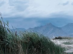 -哈素海