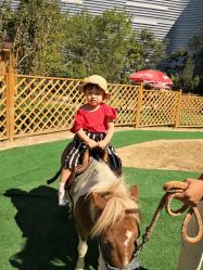 -萌宠亲子动物乐园(槐房万达店)