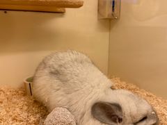 -龙猫仔乐园(惠福东路店)