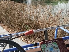 -苏州太湖国家湿地公园