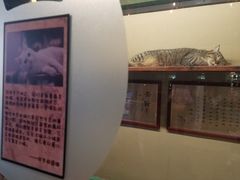 -猫咪博物馆(顶澳仔猫街店)