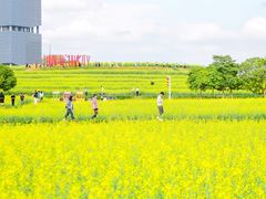 -光明小镇欢乐田园
