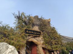 -大槐树寻根祭祖园