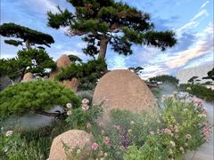 -罗红摄影艺术馆