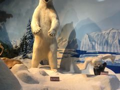 -陕西自然博物馆