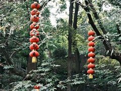 -杭州上天竺法喜讲寺