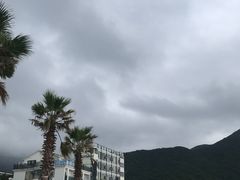 -杨梅坑