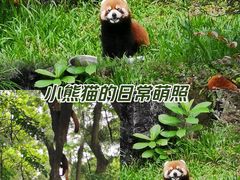 -广州动物园