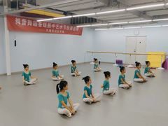 -舞蕾舞蹈·专注中国舞18年(天通苑中心校区)