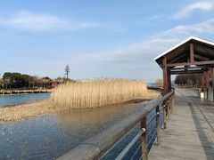 -苏州太湖湖滨国家湿地公园
