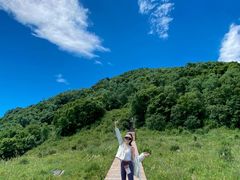 -白草畔自然风景区