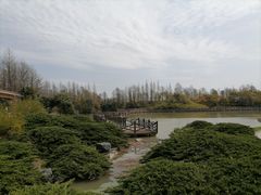 -上海海湾国家森林公园