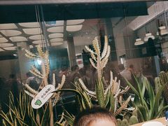 -隅乐胡椒虾·台湾菜·团建(皇岗店)