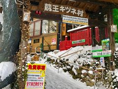 -宫城藏王狐狸村