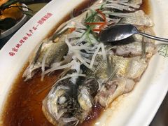 -丹江渔村(望京店)