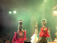 -金东尼人妖秀
