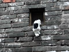 -重庆十八梯传统风貌区