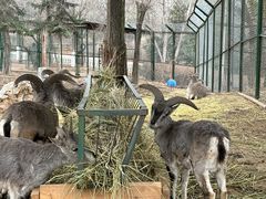 -青藏高原野生动物园