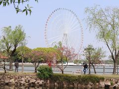 -无锡蠡湖国家湿地公园-蠡园