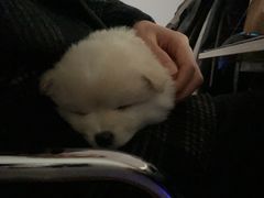 -太原茂业天地购物中心
