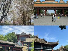 -顺峰山公园