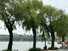 -长春市南湖公园