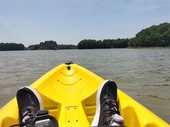 -上海海湾国家森林公园