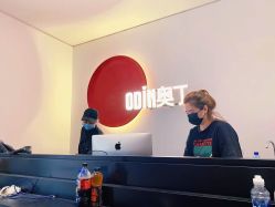 -ODIN 奥丁形象设计 