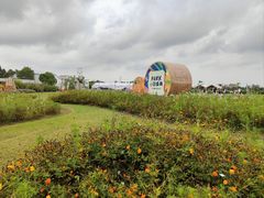 -嘉北郊野公园