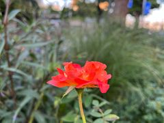 -横滨红砖仓库1号馆