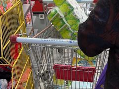 -家乐福(川沙店)