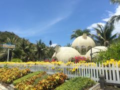-三亚蜈支洲岛旅游区