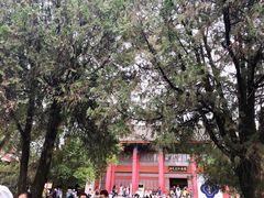 -总统兵马大元帅府