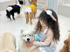 -汪说·狗咖·拼豆·宠物周边DIY(旺城大厦店)