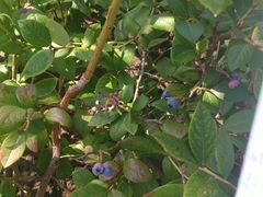 -南戴河国际娱乐中心