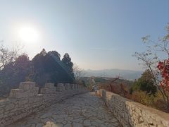 -原山国家森林公园