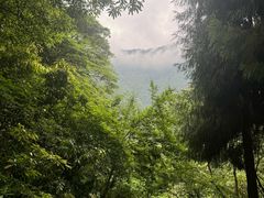 -西岭雪山大飞水景区