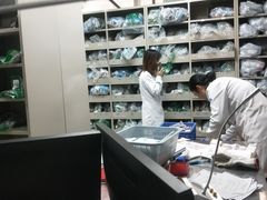 -杭州市第三人民医院