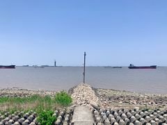 -上海滨江森林公园