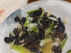 -古道村落(温汤店)