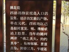 -桃花堤公园